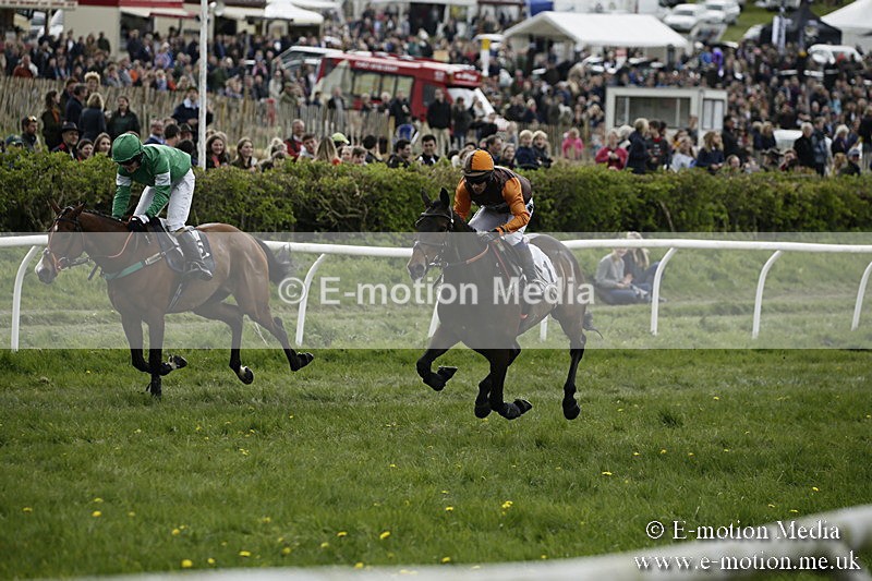 PtP 170417 196 - Old Berks Point-to-Point Lockinge 17/04/17