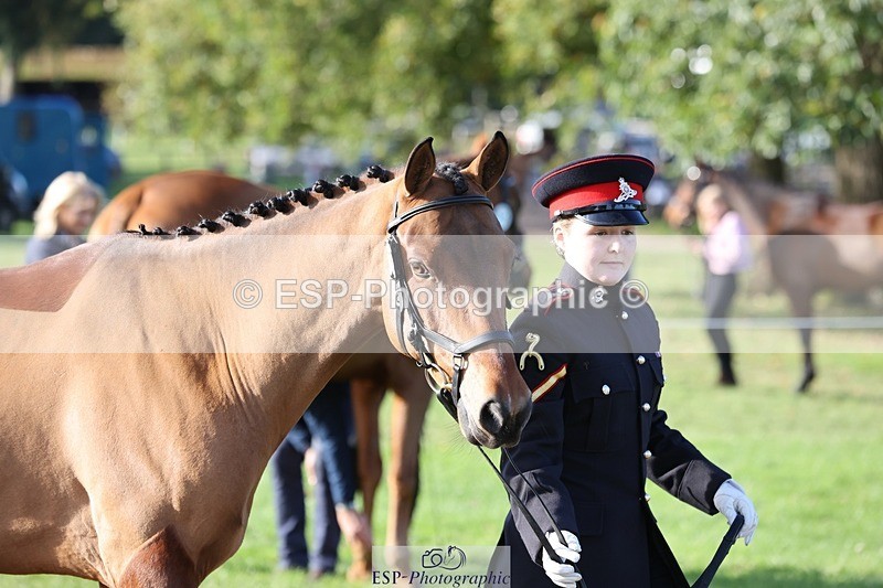 241027-101650-15784 - 516-L.Bdr.Ellie.Mitchell-MICRON.JOY