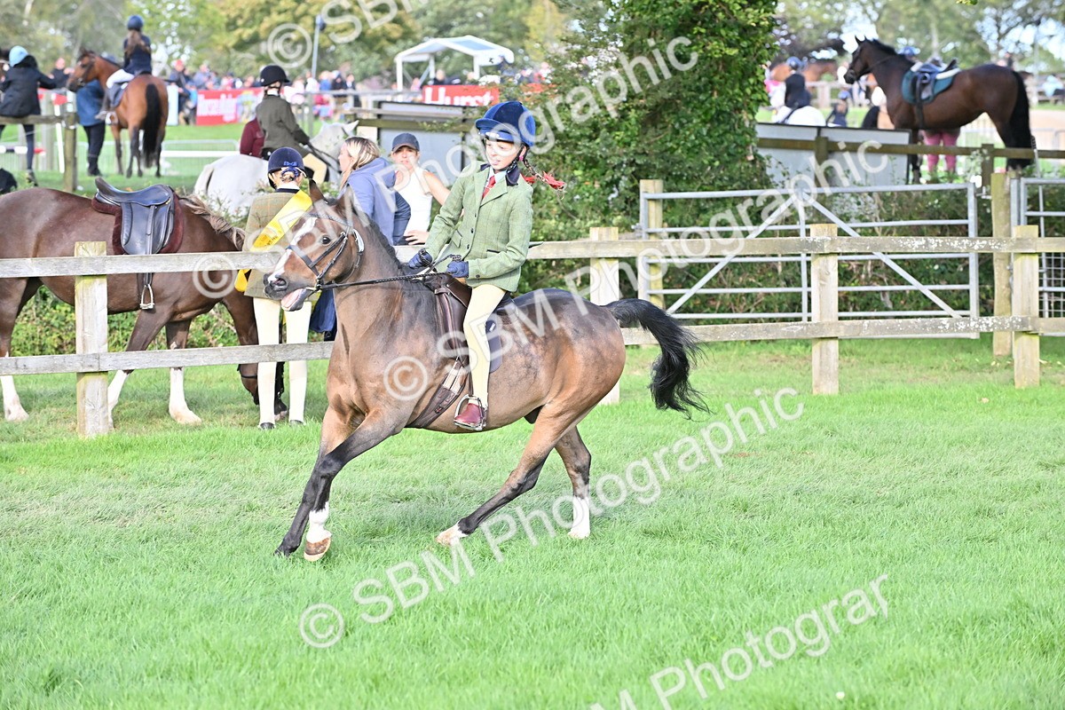 SBM_51245 - S22 - First Ridden show and show Hunter Pony