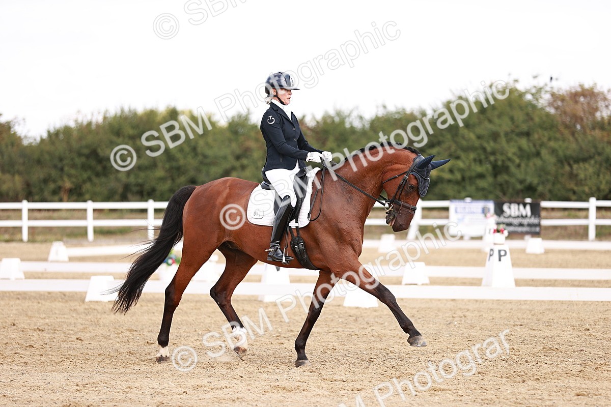 SBM_017663 - Class 11 - Advanced Medium 6