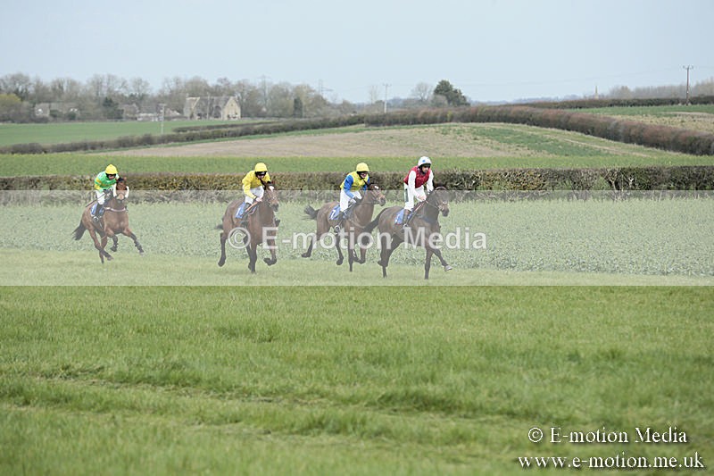 PtP 230319 28 - VWH Hunt Siddington Point-to-Point Racing 23/03/19