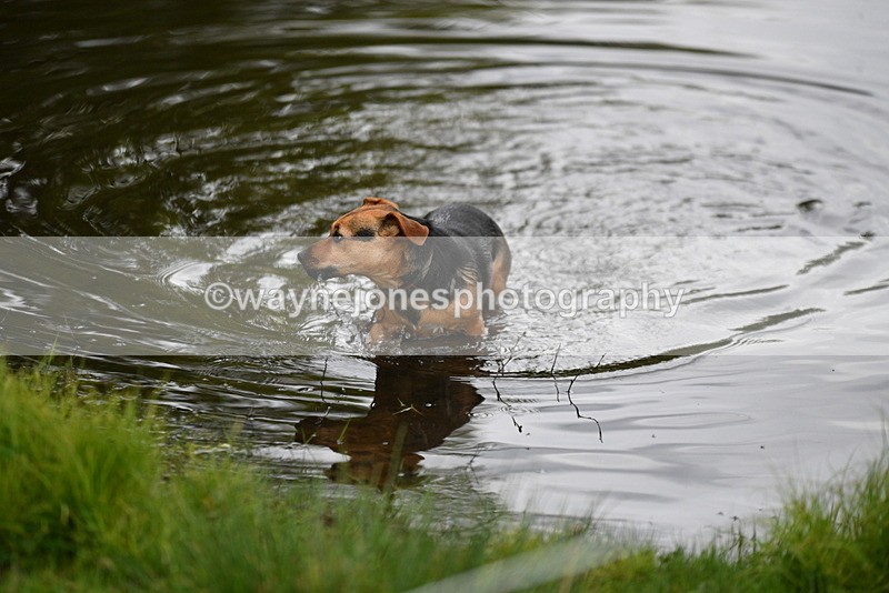 WJ5_5182 - Time 12:04 to 13:05