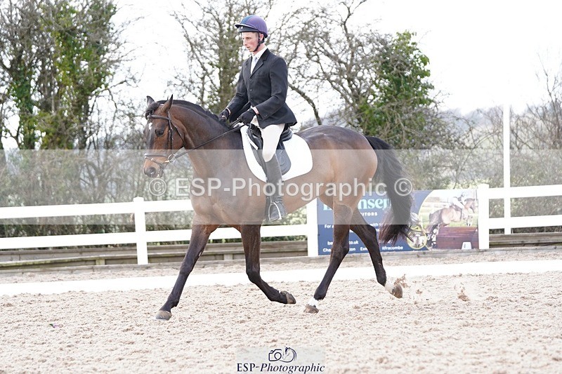 250322-132716-00503 - DR Elementary 2 Test