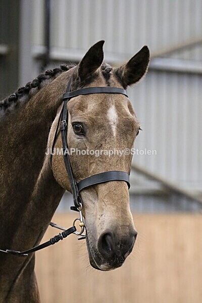 SIAL2686 - Sunday 14th Ridden