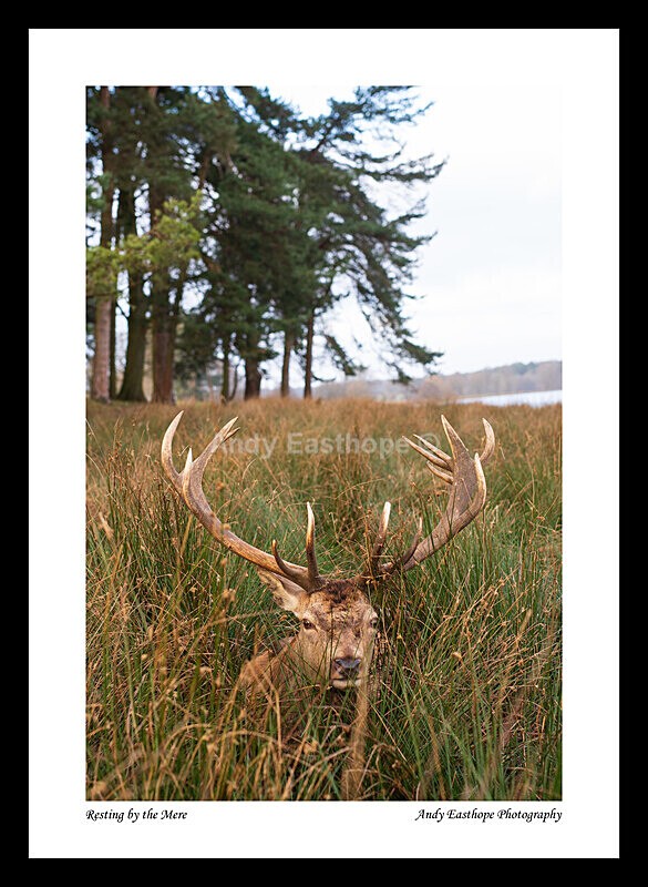 Tatton-6 a - Tatton Park, Knutsford, Cheshire
