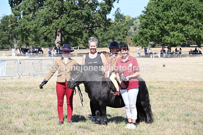 WJ6_8121 - Class 36 Lead Rein