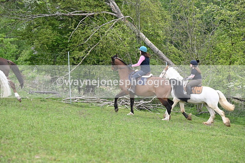 WJ6_3235 - A camera