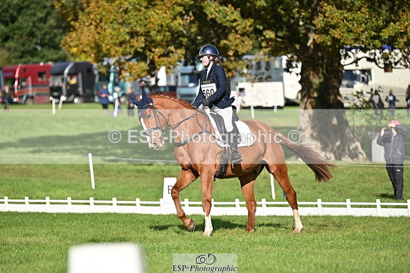 251024A-105455-08469 - G-560-Josie.Dix