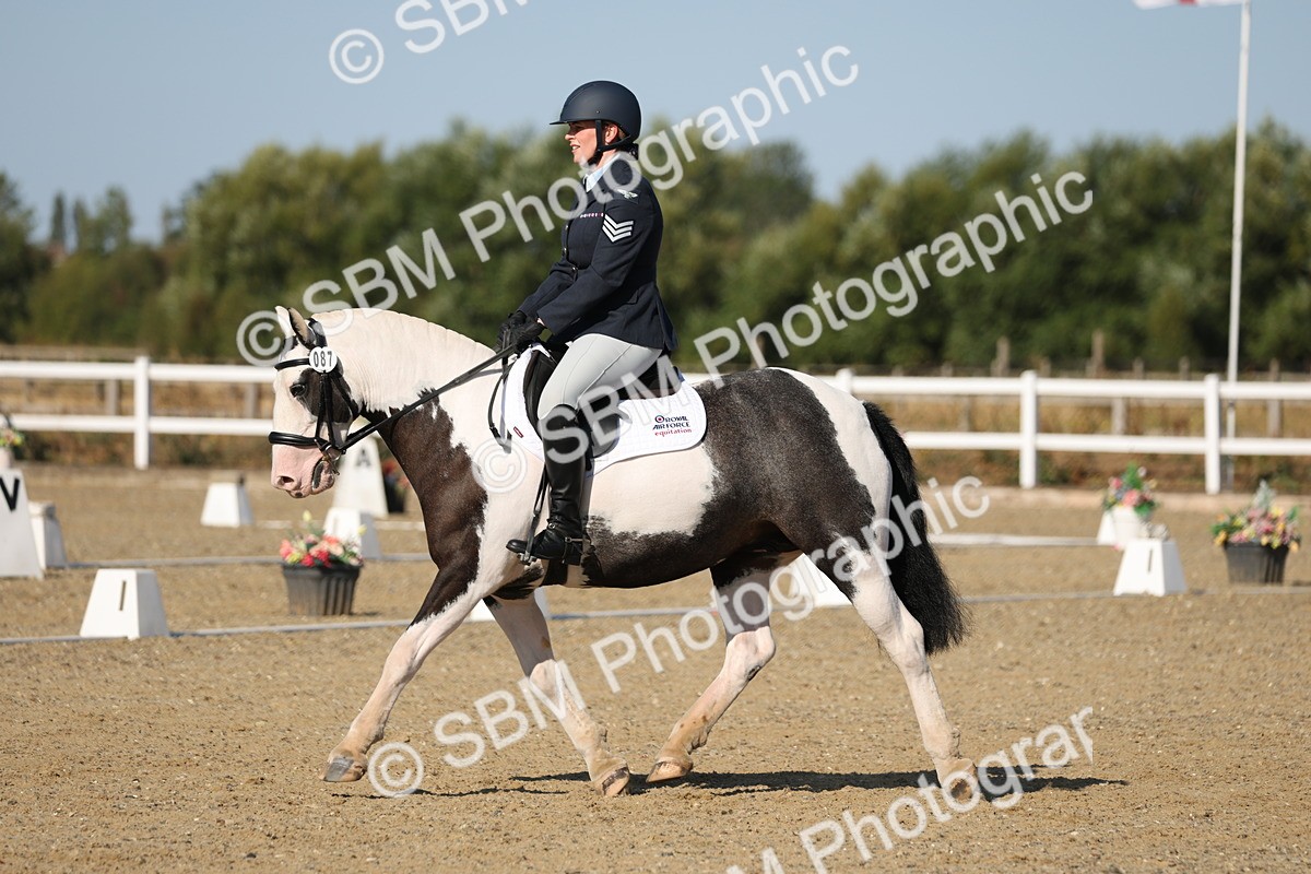 SBM_012723 - Class 1 - P5 Bronze 9.00.10.12