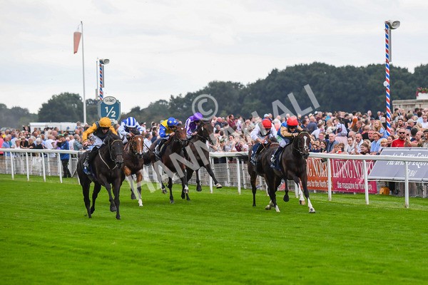 230823-Race 2-Indian Run-0325 - Race 2 2.25pm Tattersalls Acomb Stakes