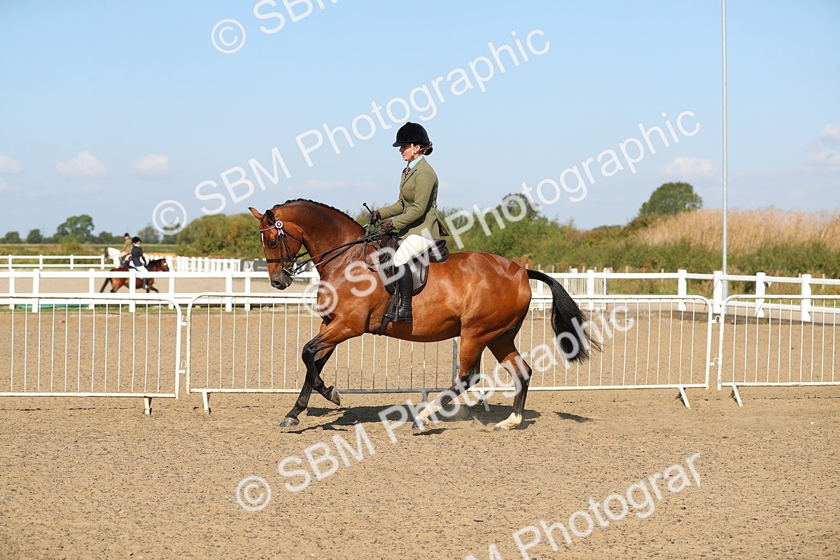 SBM_02242 - Class 43 Ridden Competition Horse/Pony