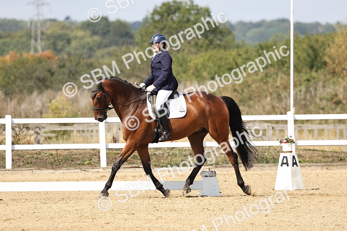 SBM_018586 - Class 16 - Novice 5 - 12.08-13.11