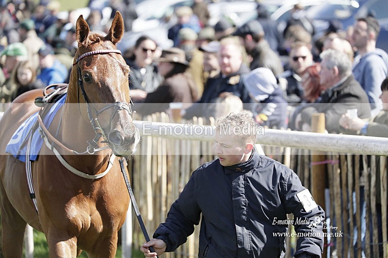 PtP 100423 469 - Old Berkshire Point-to-Point Lockinge 10/04/23