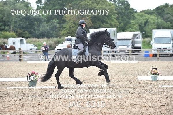 JAC_6310 - ELEMENTARY
