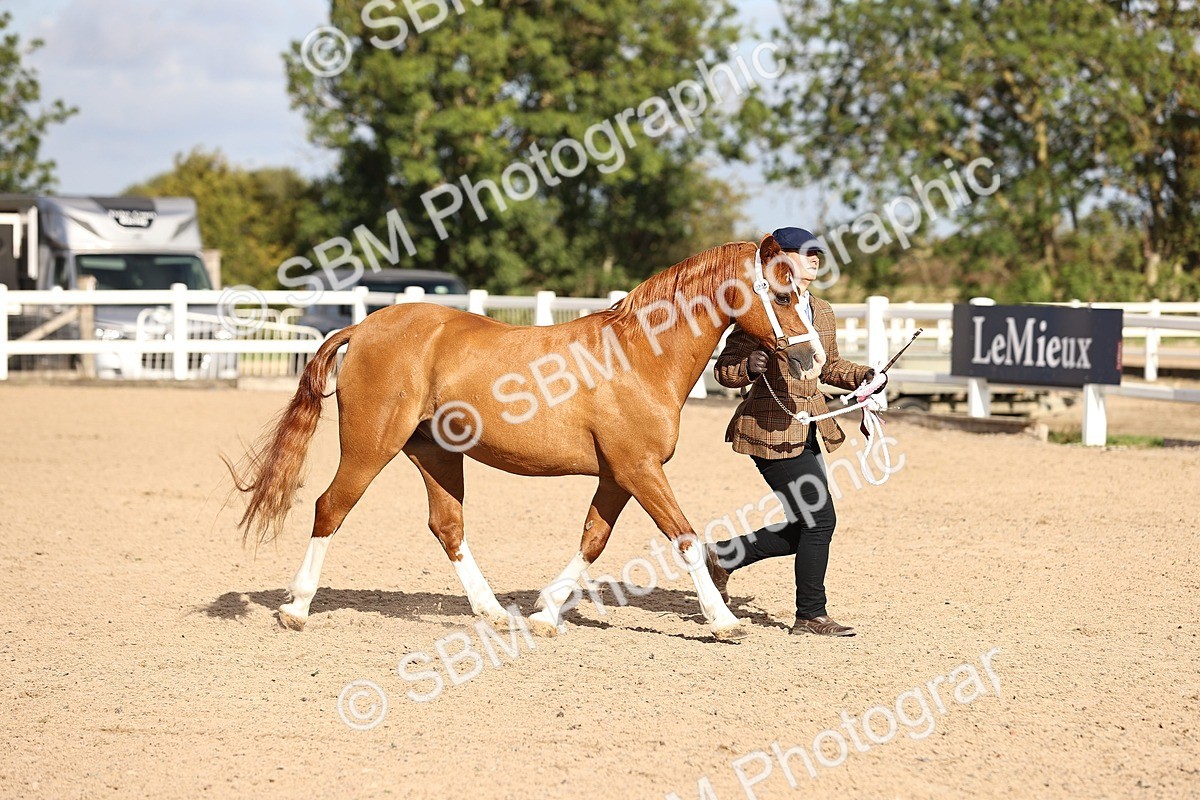 SBM_08564 - Class 402 - IH Veteran Pony