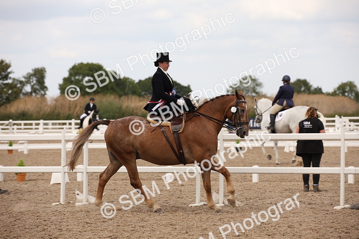 SBM_05528 - Class 22 SSA Equitation