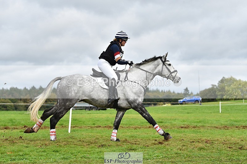 231021-131756-18389 - 445-CRUISING.BORO-Lucy.Knight-SC+XC