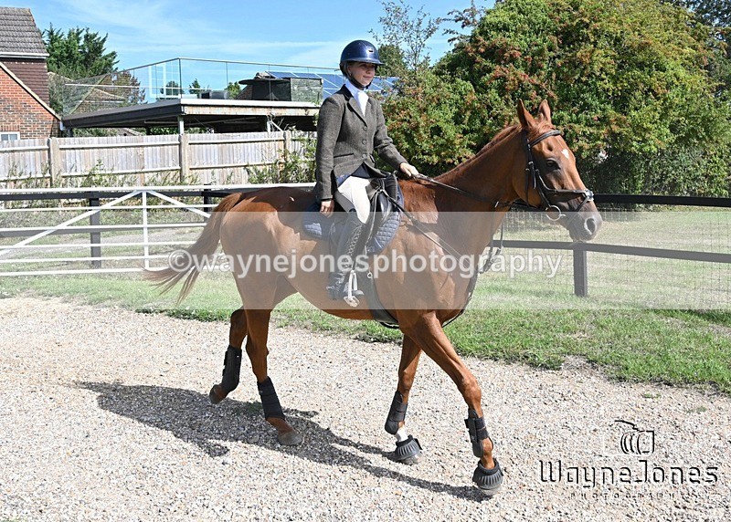 WJ7_0549 - Berks & Bucks - Hound Exercise – Kennels 06-09-26