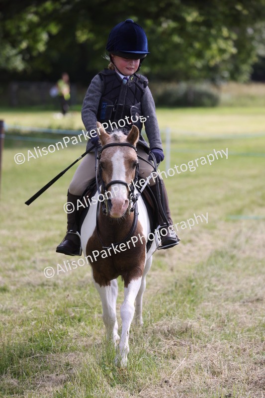 20260614-0693 - Class 20 - Beginners Working Hunter Pony
