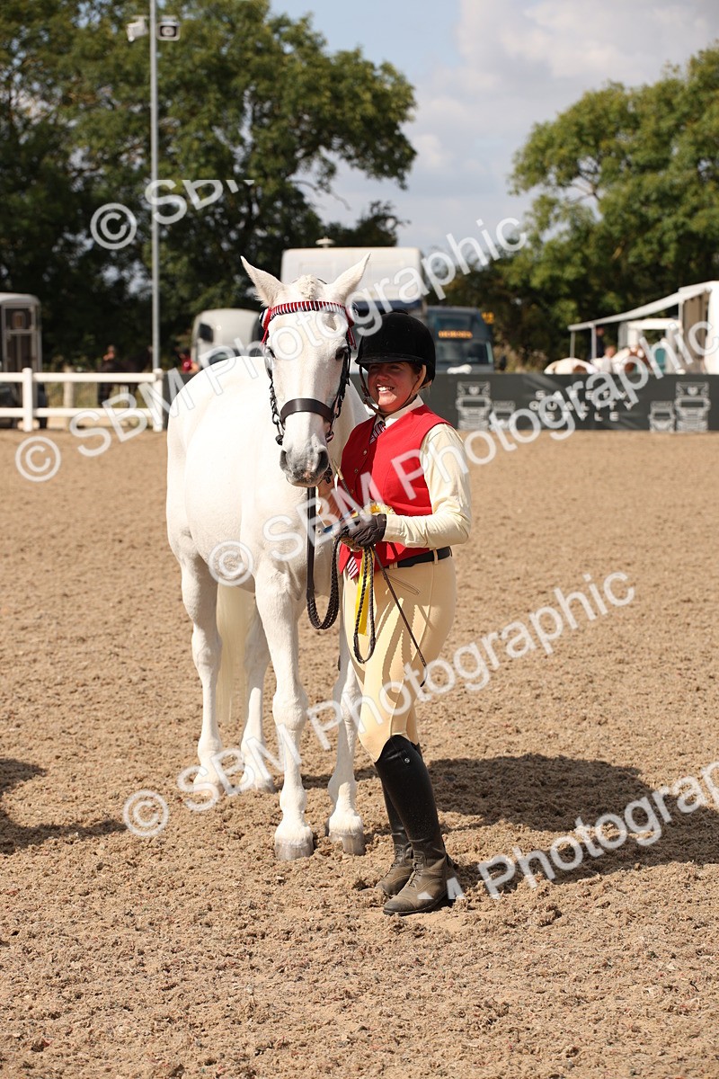 SBM_03462 - Class 18 Handsomest Gelding (IH or Ridden)