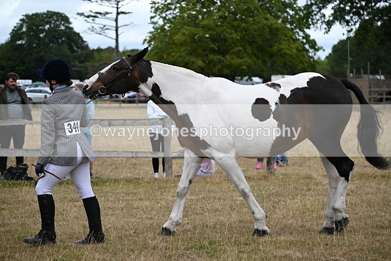 WJ6_8291 - Class 10 Coloured in Hand