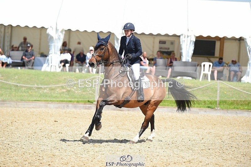 230528-115144-15414 - 369-GIDO_G-Sally_Chamberlain-SUNTrotUp+SJ