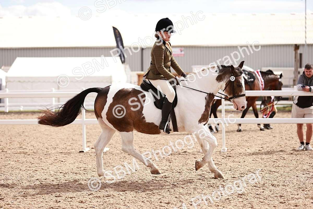 SBM_14377 - Class 409 - Grassroots Ridden - Pony