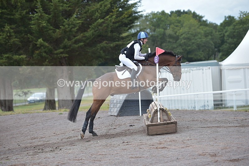 NGP_2912 - XC Time 11:37 to 11:57