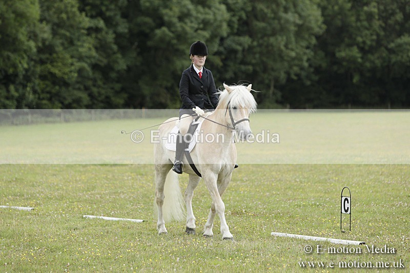 BVR160717-1220 - Class 2 Dressage 16/07/17