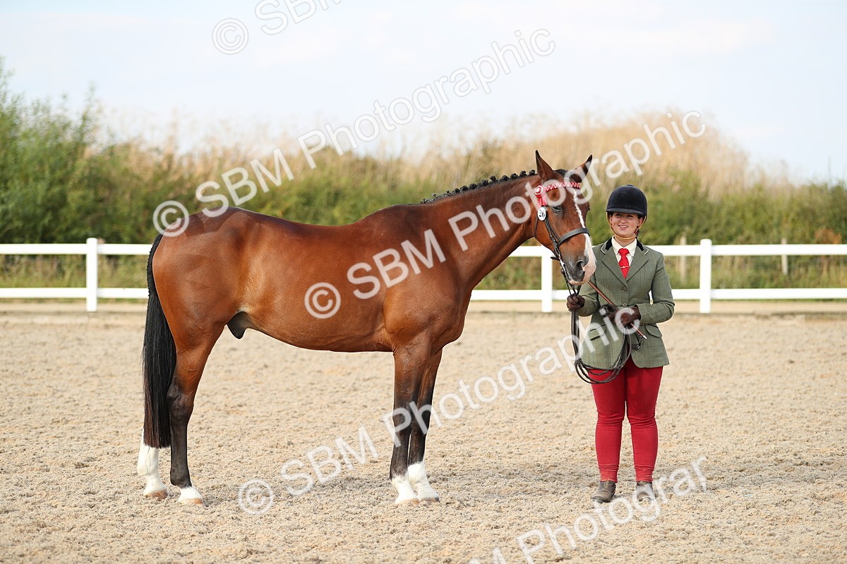 SBM_08626 - Class 28 - IH Veteran Horse