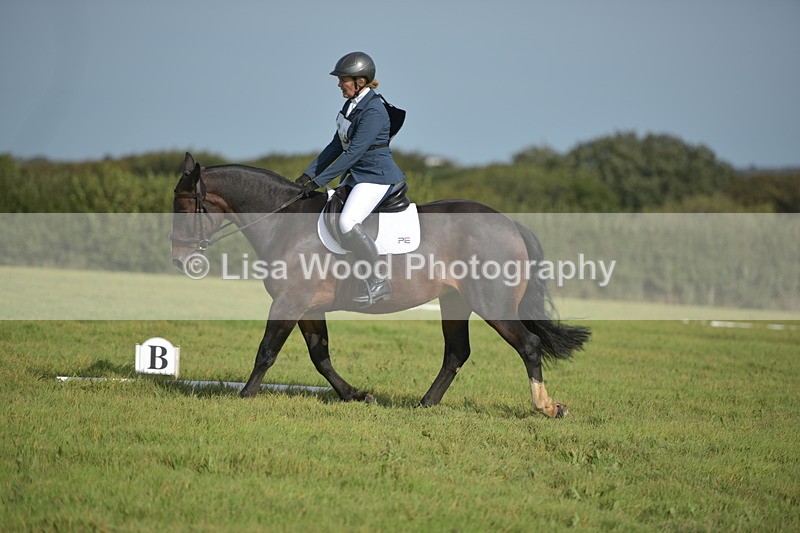 RAY_7800 - Class 2B: Trekenning Open: Dressage