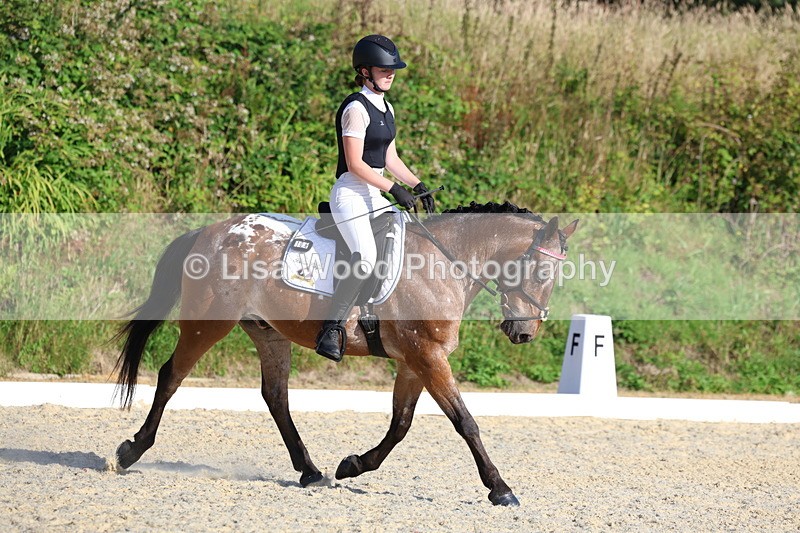 3E7A3619 - Class 2: Intro 1 2024 Section B