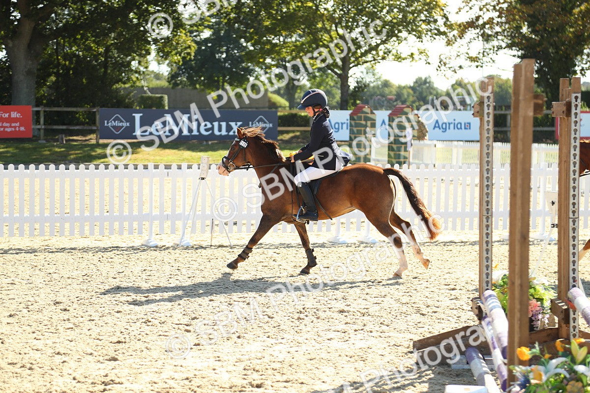 SBM_36074 - J5 - Junior Pony 50cm Championship