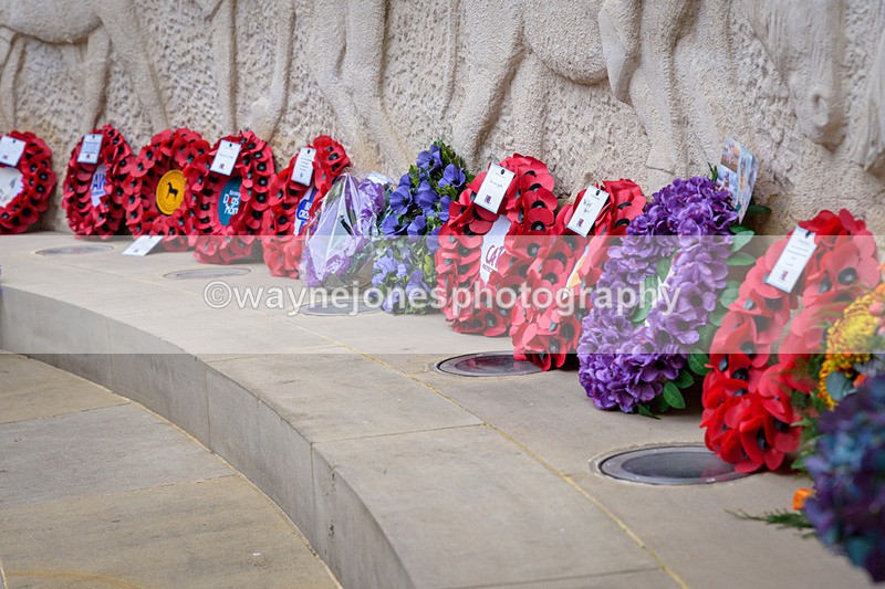 NGP_8338 - 2024 Animals in War Remembrance Gathering
