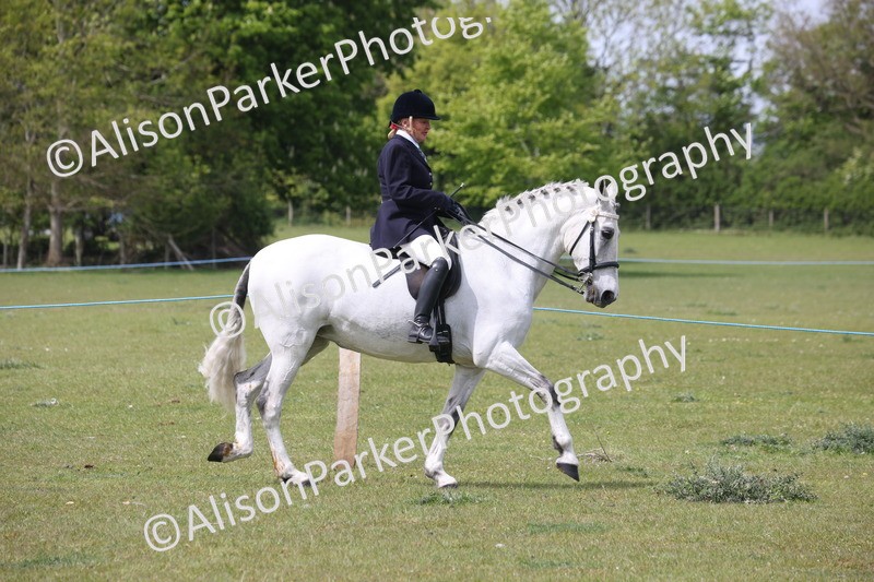 20260426-4299 - Class 34 - Best Riding Horse Over 14.2hh