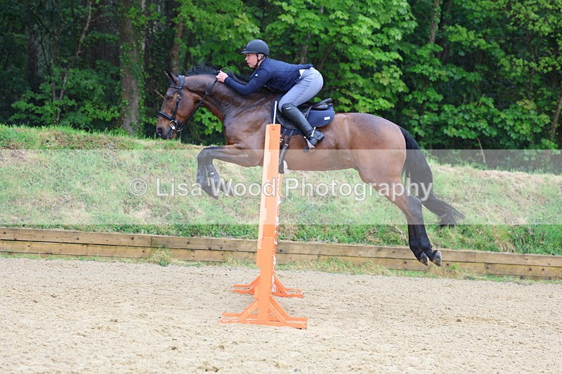 3E7A7481 - Class 8: Senior Foxhunter/1.20 open