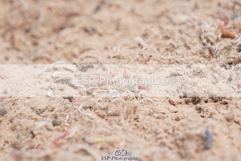 250622-103936-13370 - Cls 52 FreeStyle Elementary Inc Presentations