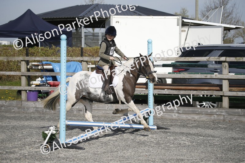 20250412-0252 - Show Jumping