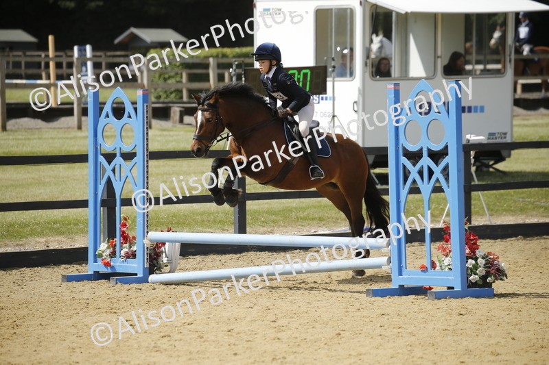 20250622-3869 - 50cm