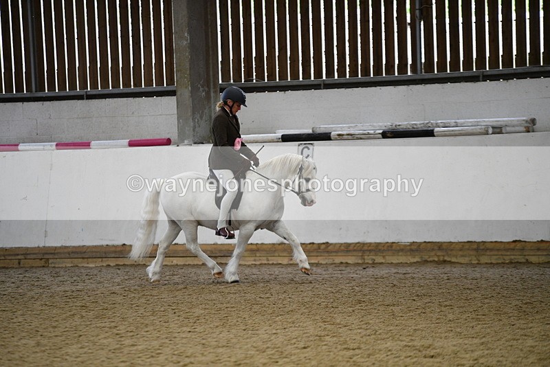 WJ5_6482 - Class 9 Ridden Veteran