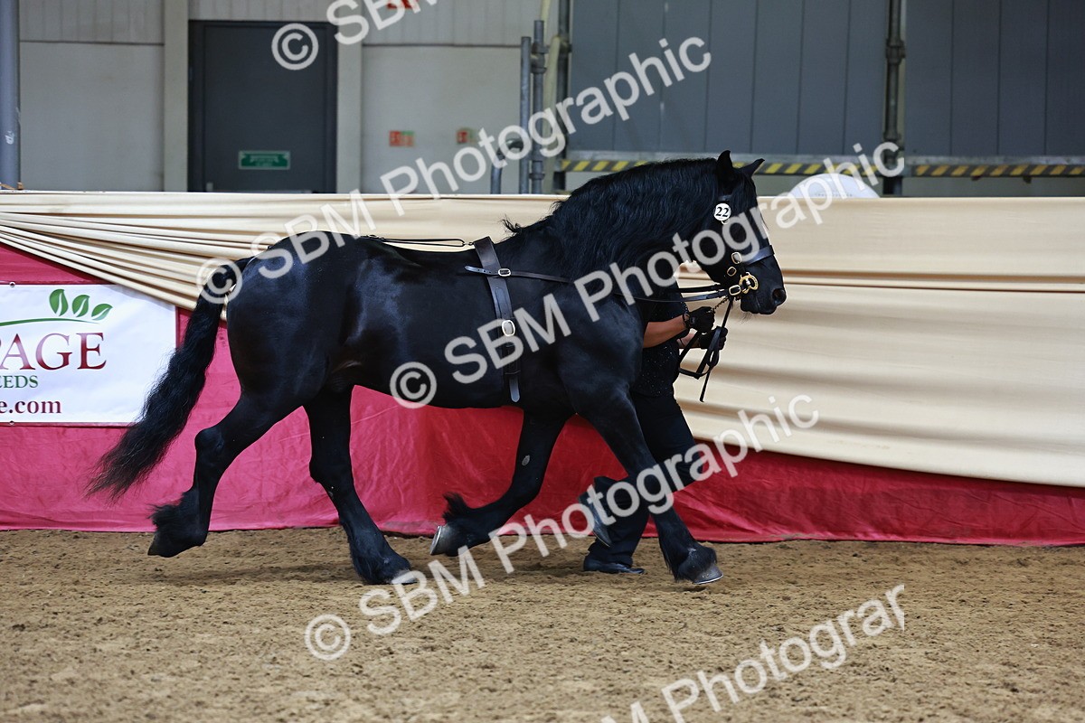 SBM_22213 - Class 902 - Supreme Final - IH Diamond