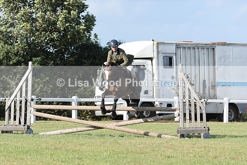 JPP_3129 - Class 21: Working Hunter 80cm