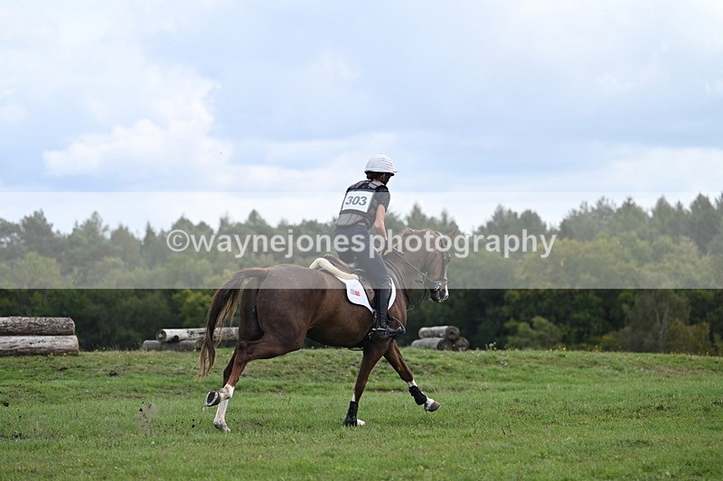 WJ7_1600 - Time 12:34 to 13:16