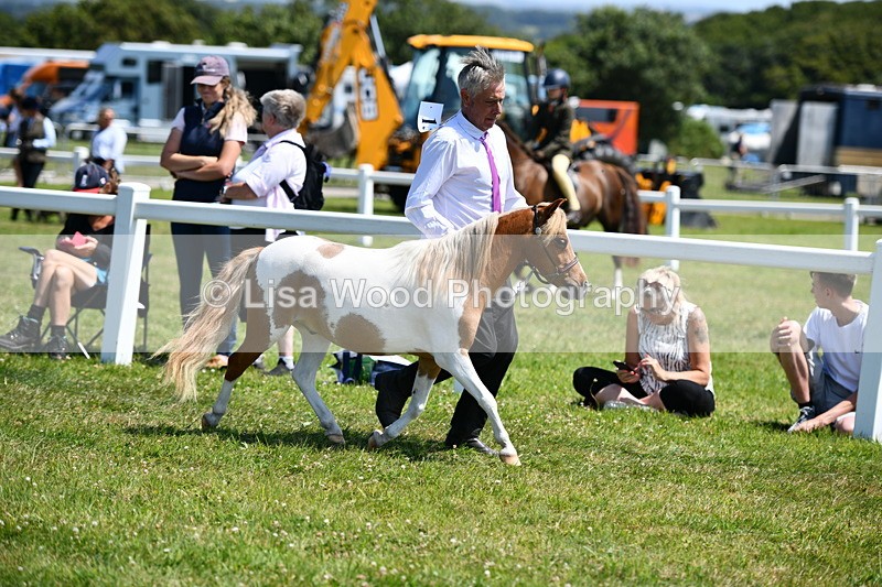 DSC_7581 - Class 64: Coloured Pony 4yrs & over