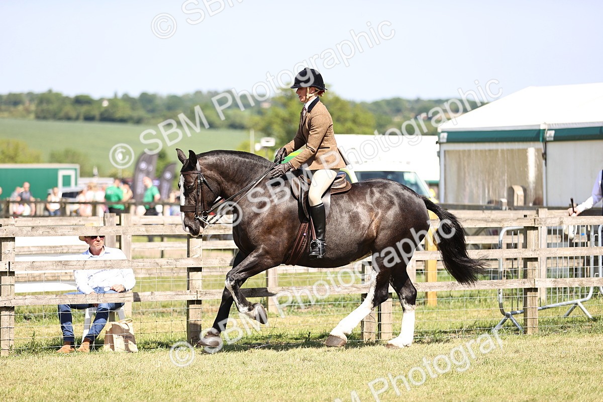 SBM_18111 - Class 81-83 - TSR Ridden Amateur of the Year - Horses