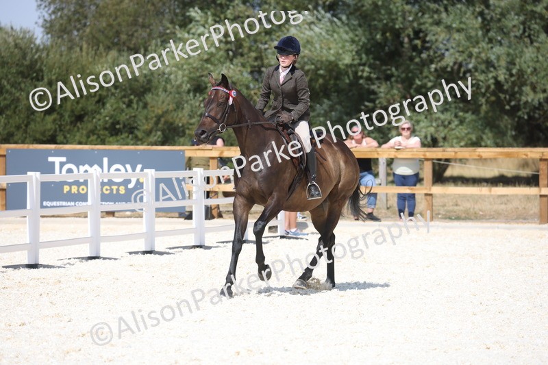 20260802-0737 - Class 8 - Best Riding Horse or Pony