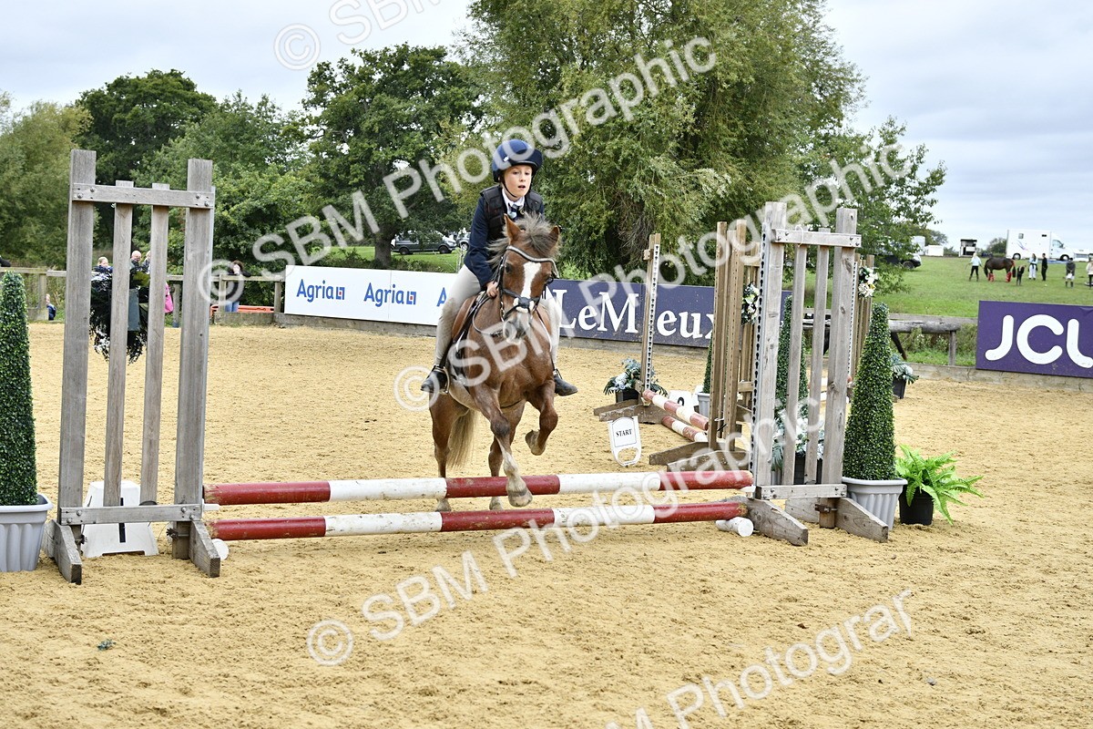 SBM_68002 - J2b - Mini Tour Junior Pony 30cm championship