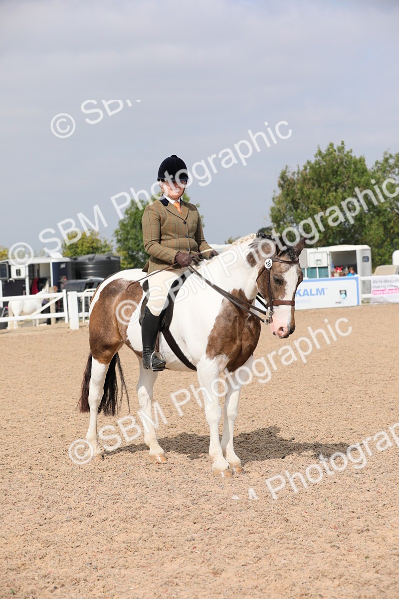 SBM_12831 - Class 307 Ridden Coloured Pony