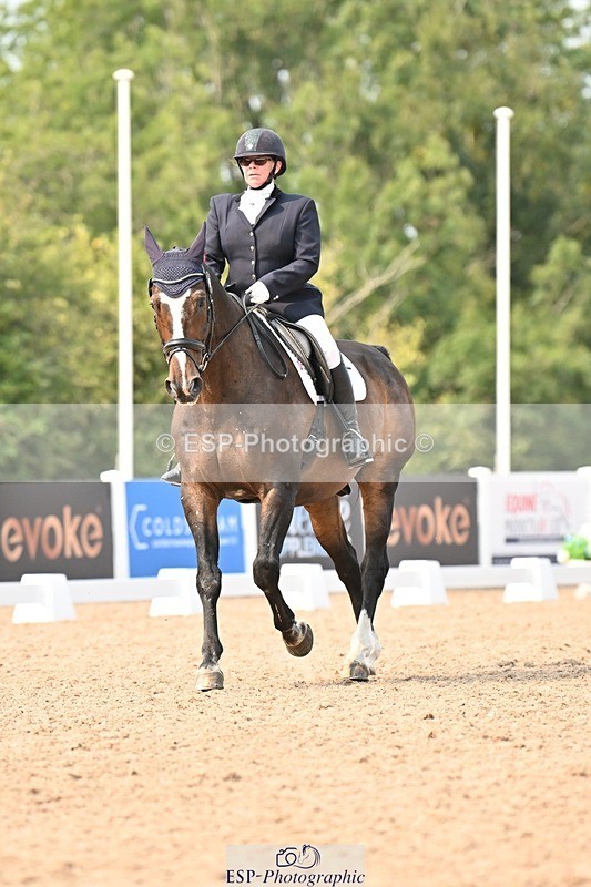 250816-151227-05784 - 130-Donna.BoydVagebond.vd.Withoeve.Z