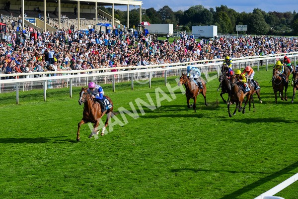 240823-Race 7-Nigiri-0869 - Race 7 5.20pm British EBF 40th Anniversary Fillies' Handicap